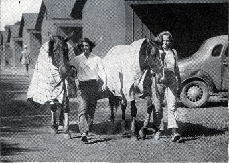 Cooling Out Process
Young ladies solve the man power shortage at Weequahic Park Newark, N. J. by helping to cool out the horses.

Photo from the June 1930 issue of Harness Horse
Photo courtesy of Don Daniels
