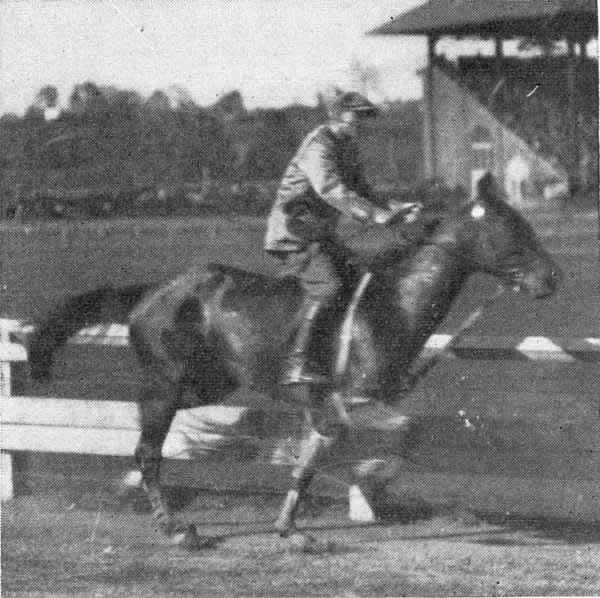 Bean, Peter
Image from the Oct 27, 1927 Trotter and Pacer magazine courtesy of Don Daniels
