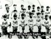 newarkeagles194602.jpg