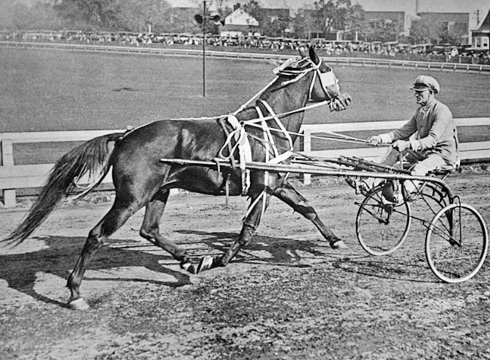Putting the Cart before the Horse
An unusual harness race, with the driver facing backwards, takes place at Weequahic Park, Newark, New Jersey, 17th October 1928. 

Photo by Henry Miller News

