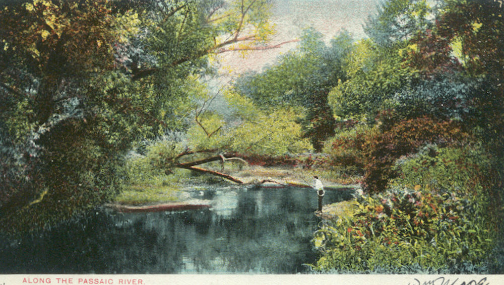 Along the Passaic River
Postcard
