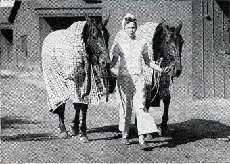 Cooling Out Process
A young lady doubles in single harness leading two horses in the cooling out process.

Photo from the June 1930 issue of Harness Horse
Photo courtesy of Don Daniels
